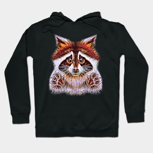 Raccoon Hoodie